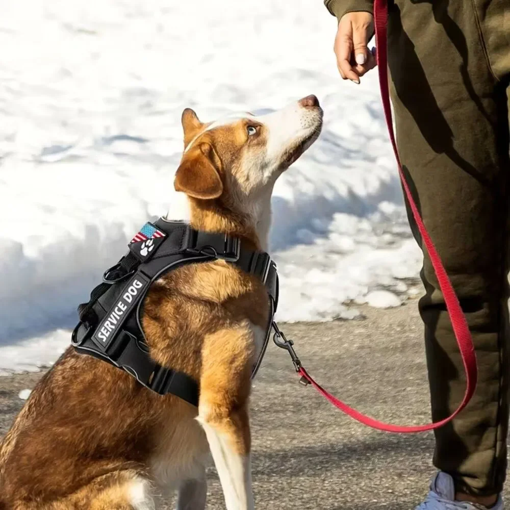 Adjustable RED Reflective SERVICE DOG  Harness Vest  For Small & Medium Pets